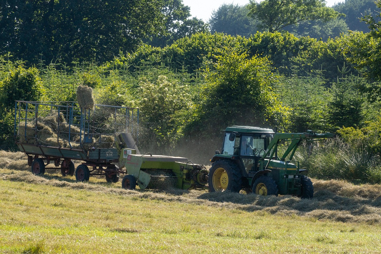 brazil agribusiness